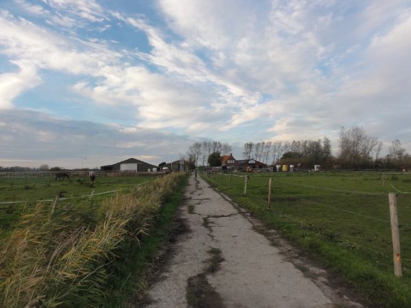 Camping Grijpskerke