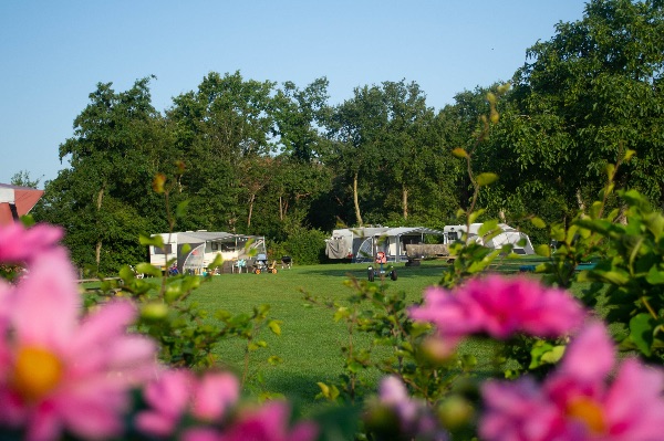 Camping Biezenmortel