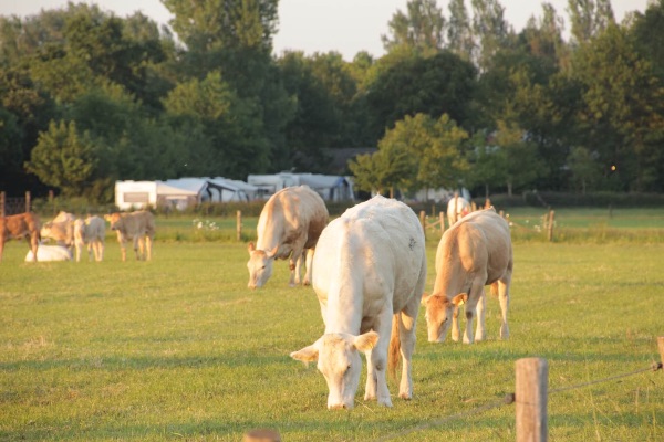 Camping Etten-Leur