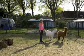 Camping Huijbergen